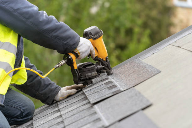Best Roof Moss and Algae Removal  in Ozona, TX